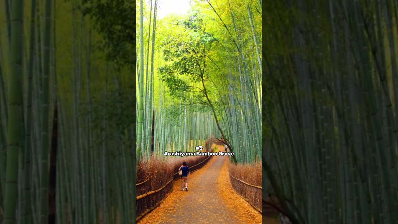 Things To Do In Kyoto, Japan | Ultimate Travel Guide for First-Time Visitors #shorts