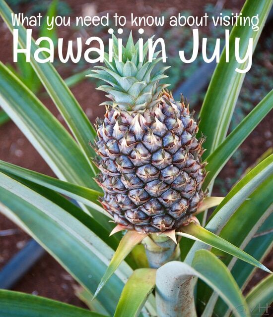 Top things you need to know for a July vacation to the Hawaiian Islands