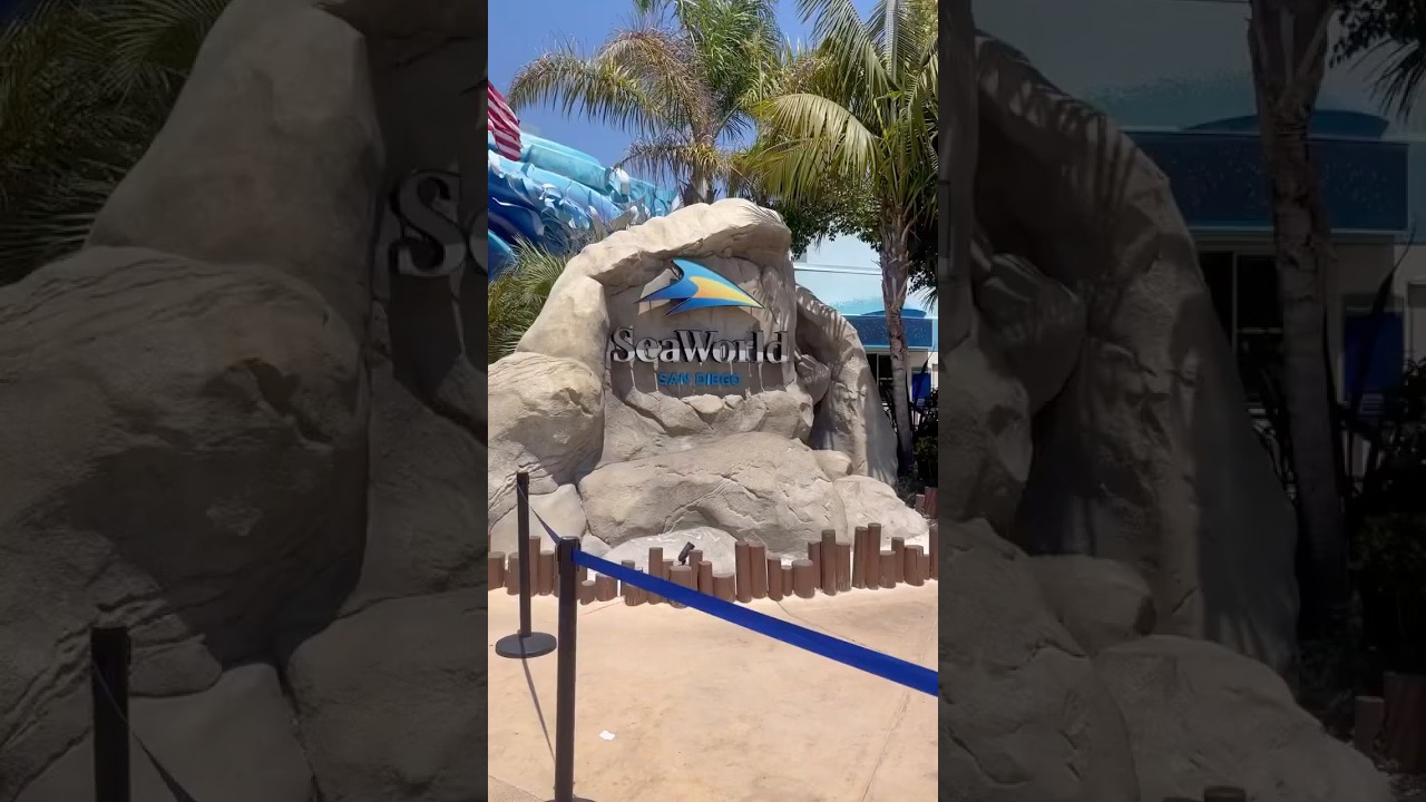 Travel guide California. Let’s go to the San Diego zoo #travelguide #sandiego #california #seaworld