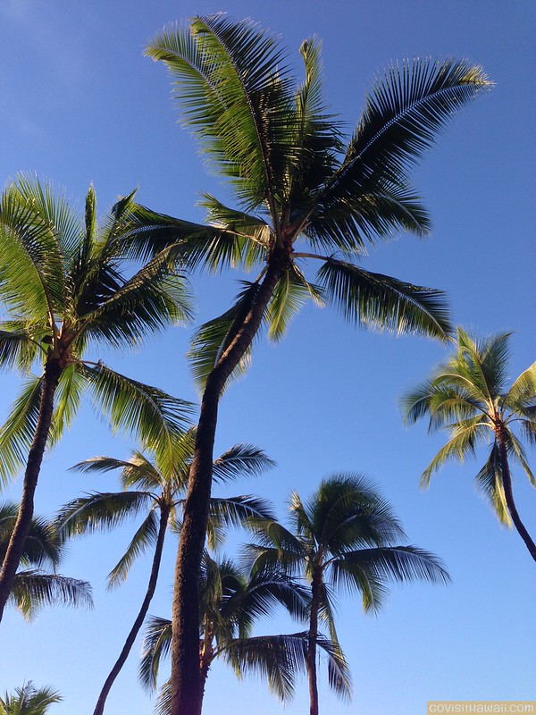 Hawaii vacation news and deals: July 23, 2025