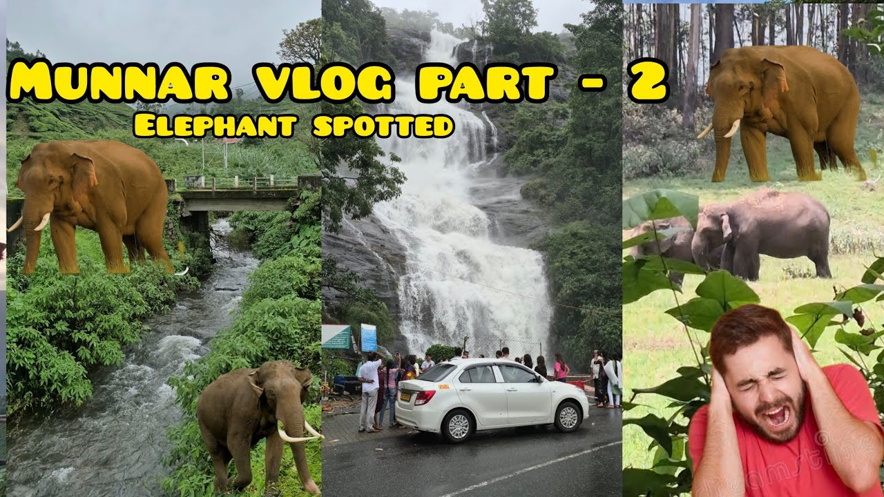 Munnar Unveiled: A Travel Guide to the Best of Munnar😱 #munnartour #kerala