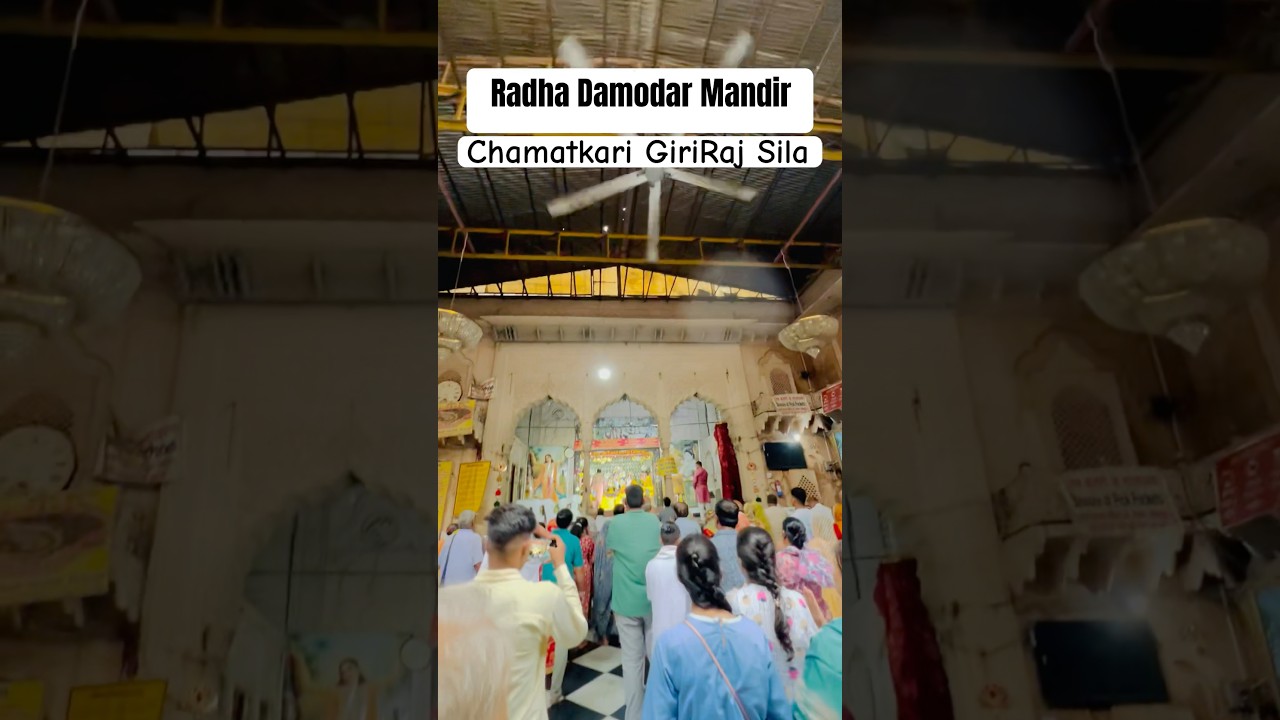 Radha Damodar Mandir - Vrindavan Dham | Chamatkari Giriraj Sila #travel #guide #temple #vrindavan