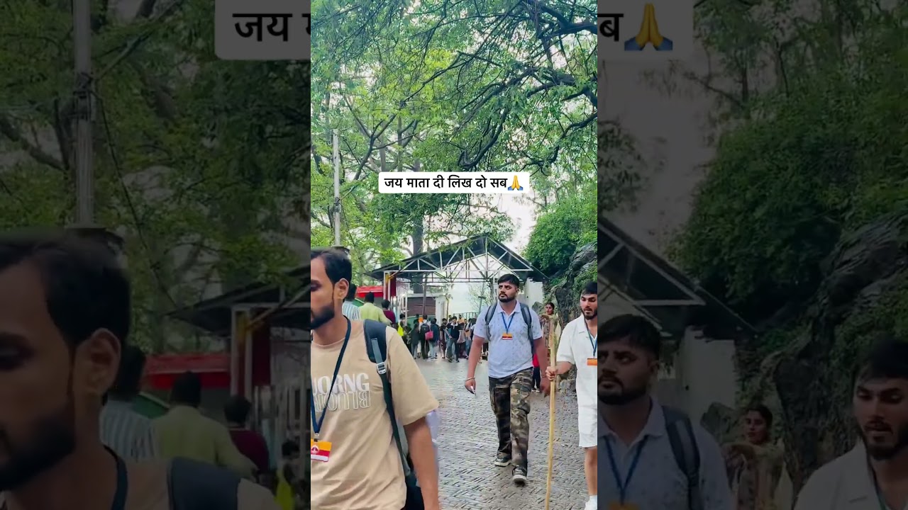 जय माँ वैष्णोदेवी 🙏 #katra #vaishnodevi #shortsfeed #youtubeshorts #shorts #maa #travel