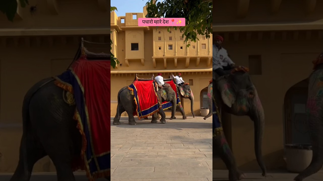 पधारो म्हारे देश 📍🦚#rajasthan #rajsthani #youyubeshort #youtubers #shorts #travel #youtubers #1m