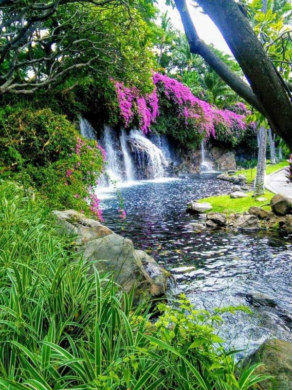 Aloha Friday Photo: Waterfalls at Grand Wailea Resort