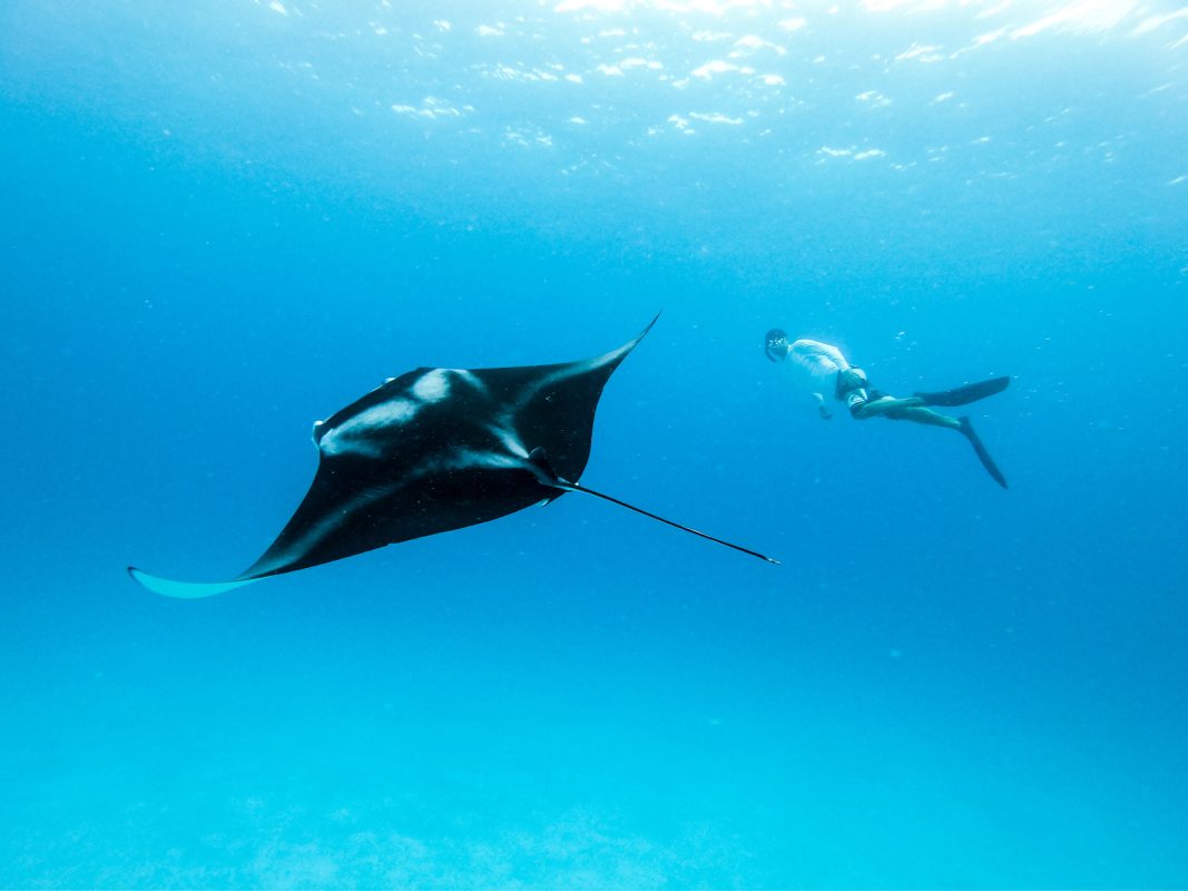 Courtesy of Shutterstock. Photo by Matej-Kastelic