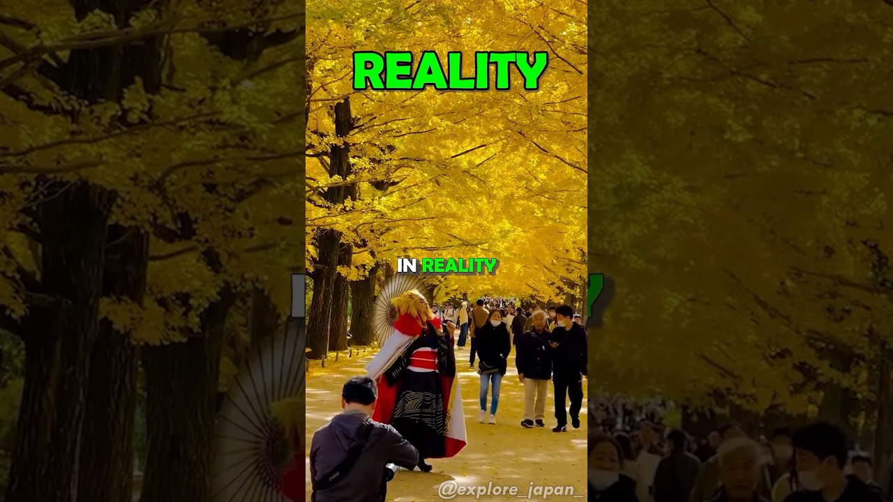 Places in Japan you won't believe really exists✈️