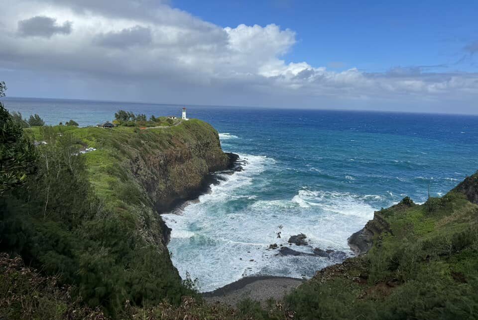 Aloha Friday Photo: From Kauai's Kilauea Point