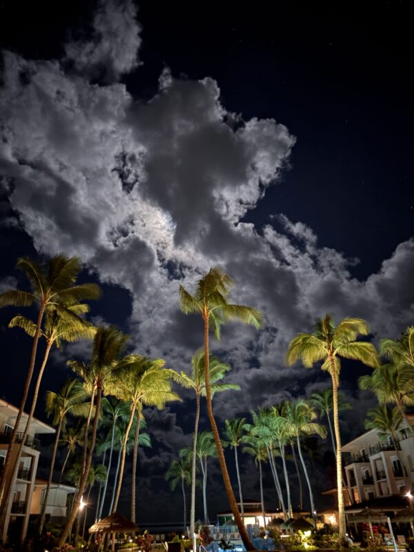 Aloha Friday Photos: Sunrise Glow, Honu Hangout, and Dramatic Poipu Sky