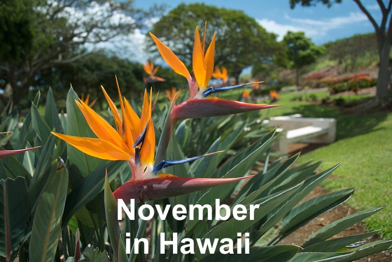 What to know for a November 2025 Hawaii vacation