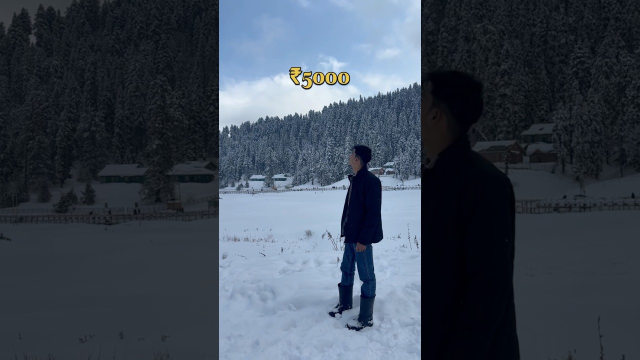 Delhi to Kashmir only in 5000 | #kashmir #travelguide