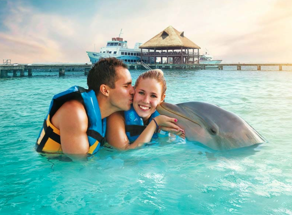 Two people swimming with dolphins in Isla Mujeres
