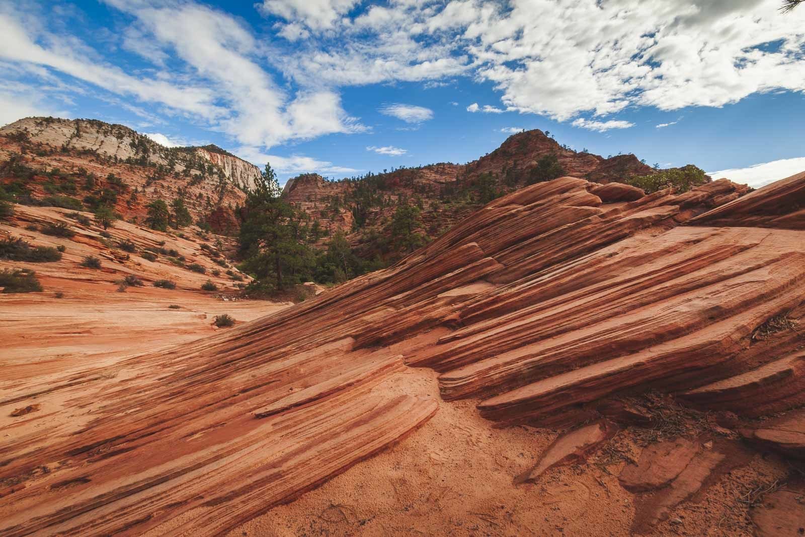hiking the canyons of Zion National Park