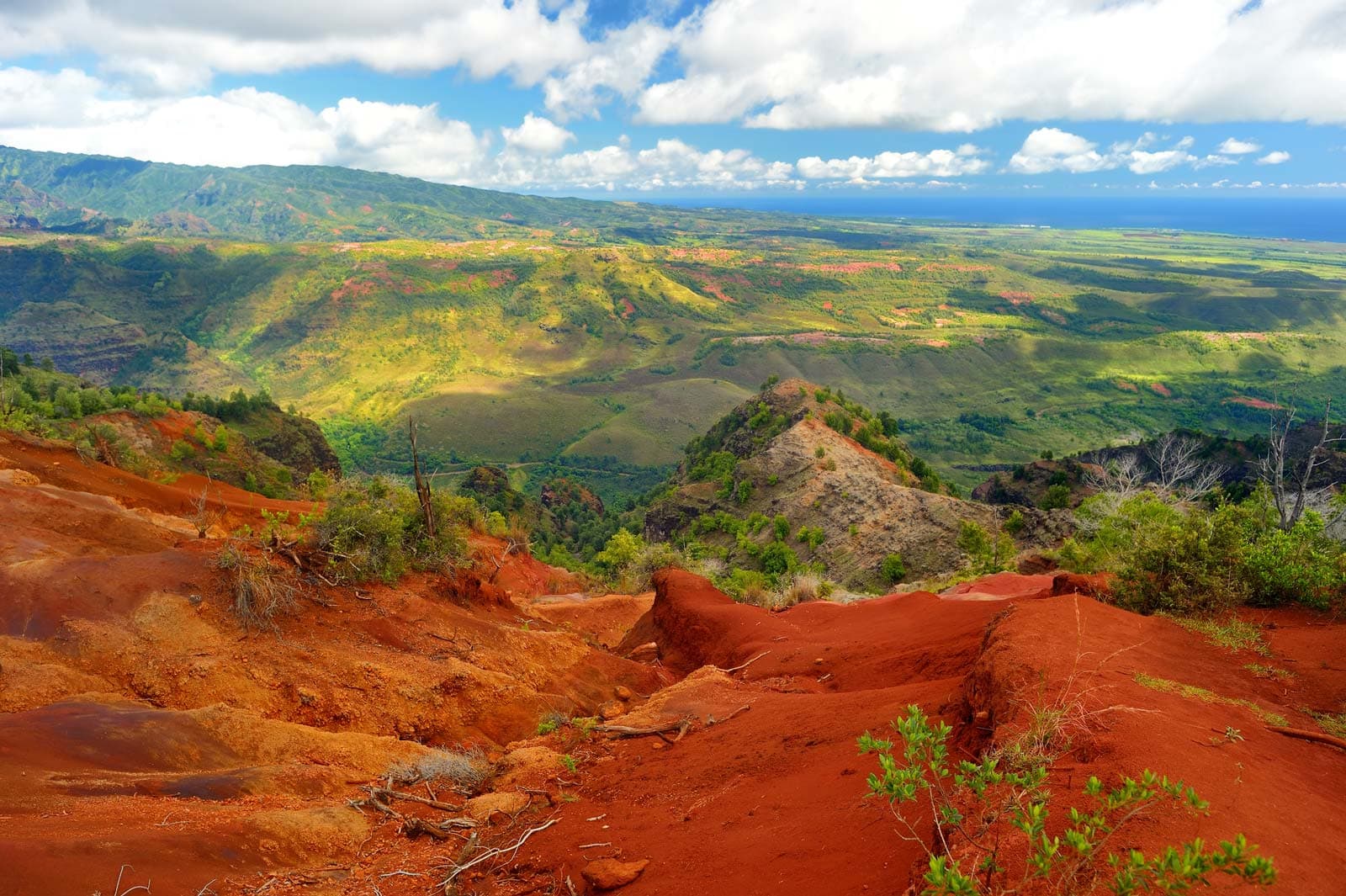 A panoramic view of Waimea Canyon on Kauai, Hawaii, also known as the Grand Canyon of the Pacific