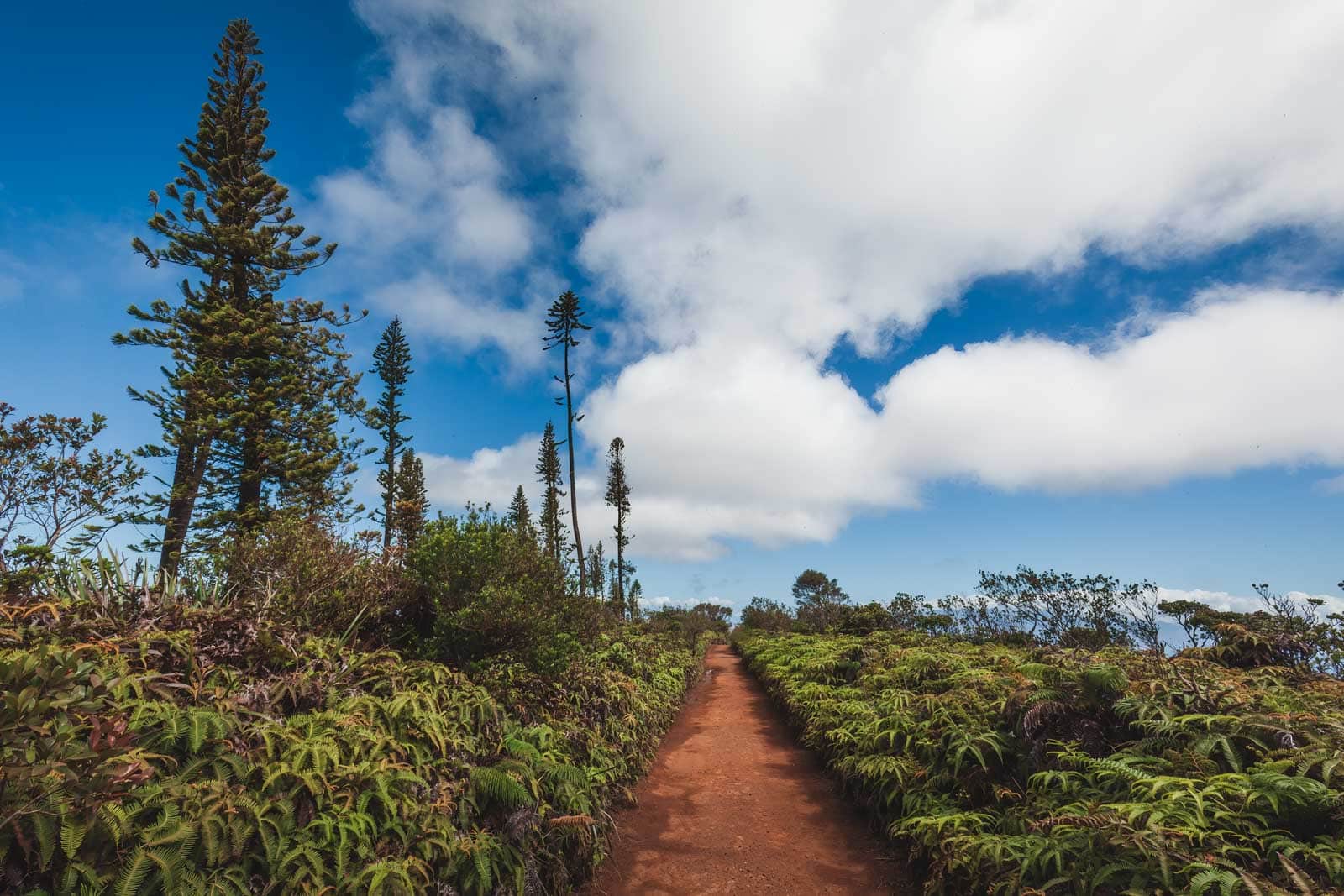 The red rock landscape of Keahiakawelo (Garden of the Gods) on Lanai, Hawaii