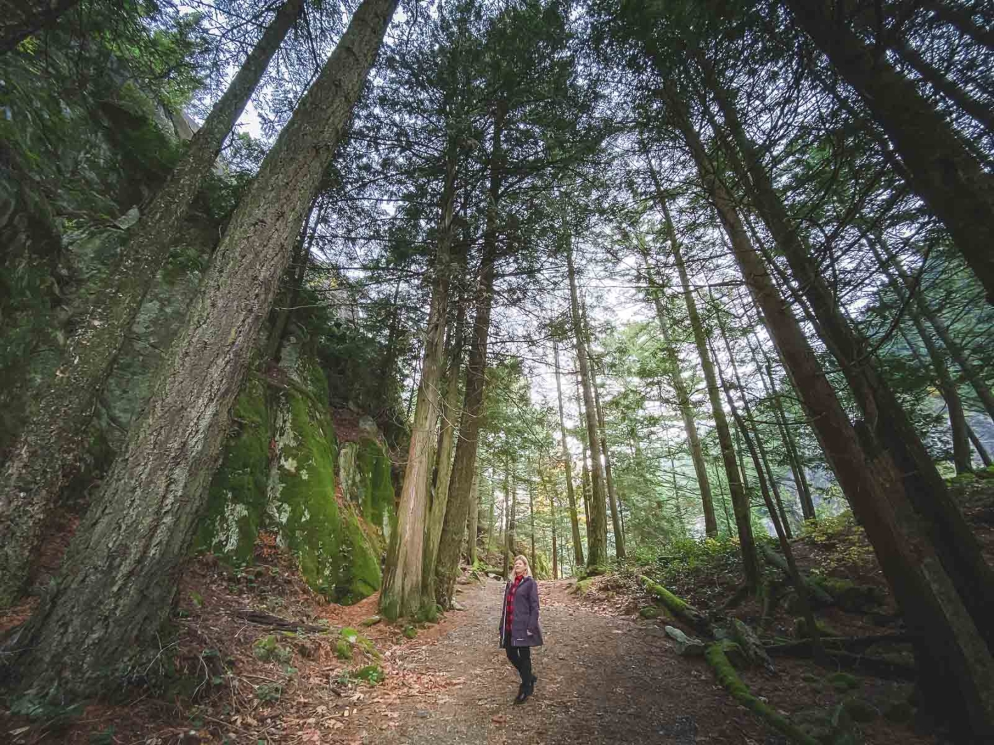 Whistler BC Hiking Trails