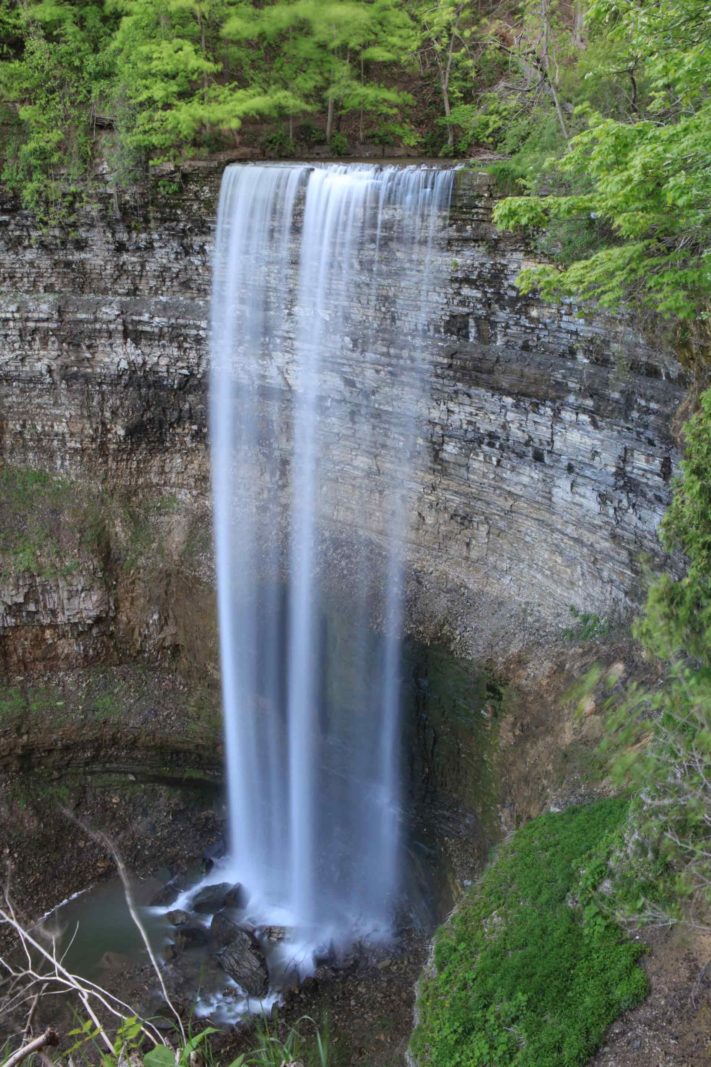 The mighty Tews falls hamilton